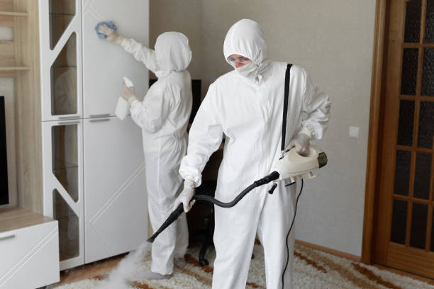 Best Mold Removal and Inspection  in White Oak, OH