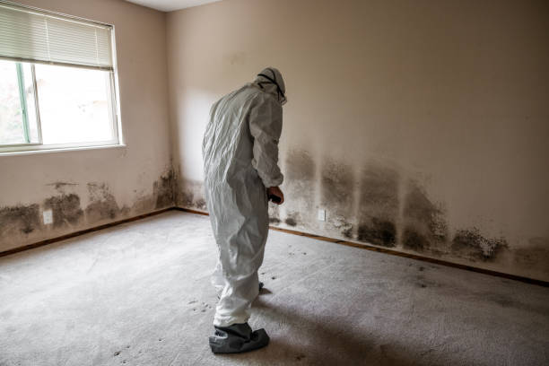 Best Crawl Space Mold Removal  in White Oak, OH